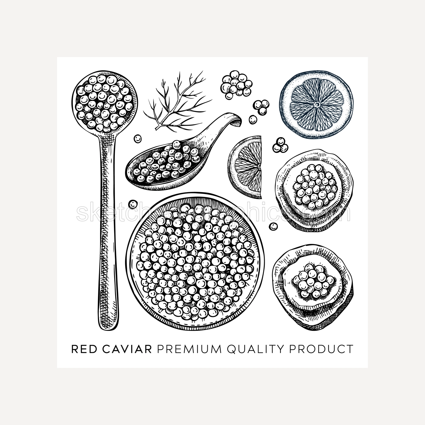 Hand-drawn red caviar sketches set isolated on white background. Red caviar in opened tin can, caviar canape, lemons, dill vector drawings. Seafood delicacy illustrations for restaurant or finger food Illustration